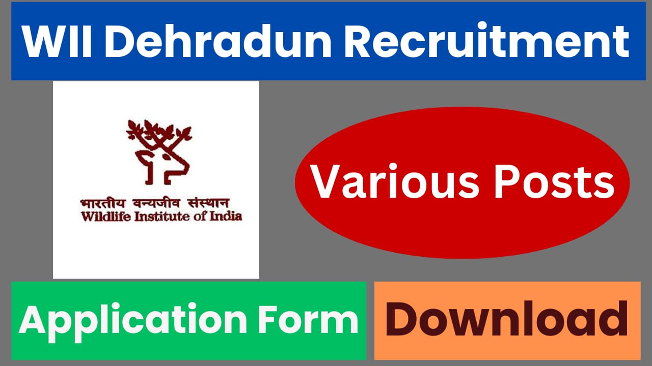 wii Recruitment 2024