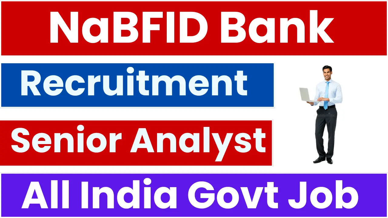 NaBFID Bank Senior Analyst Recruitment 2025